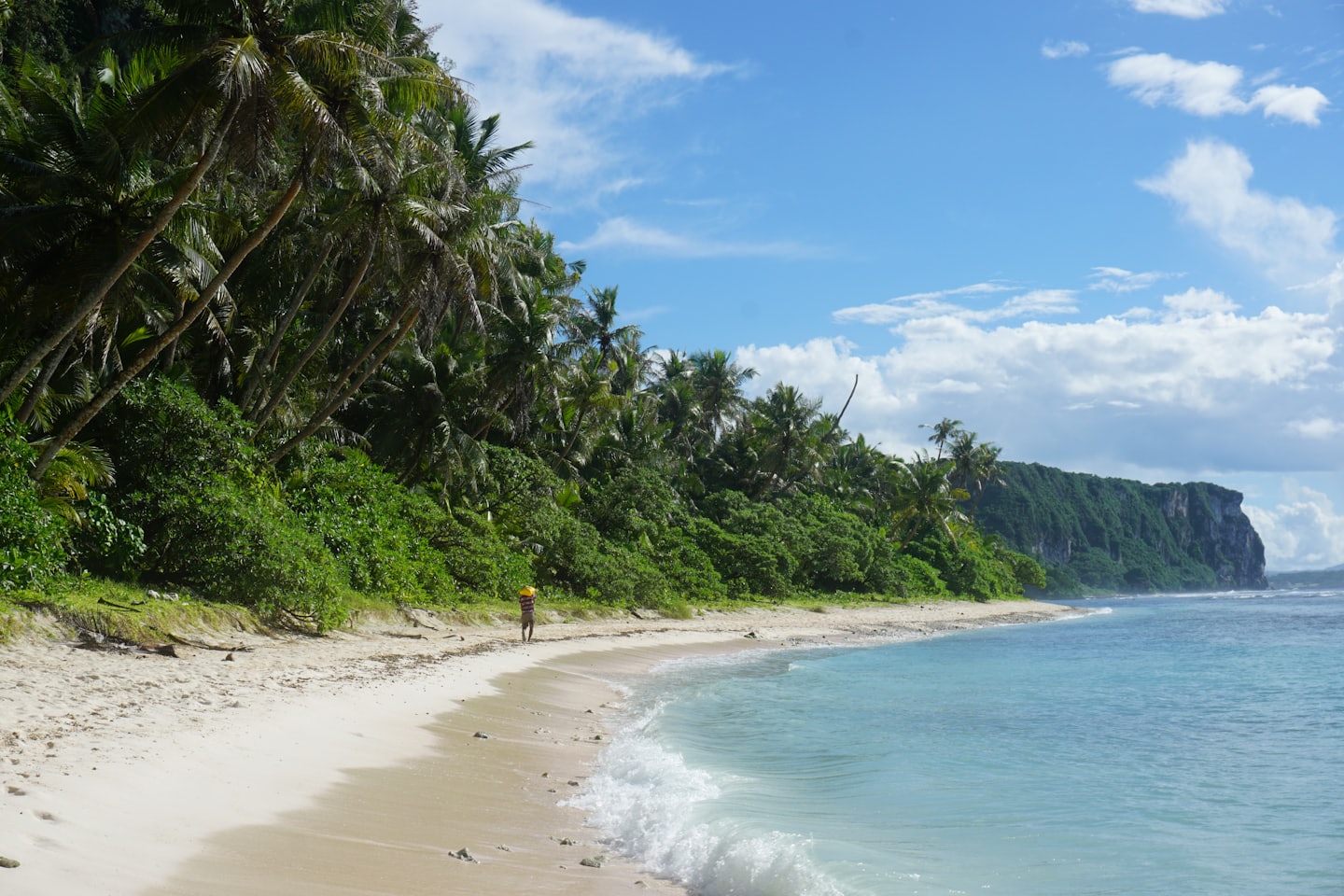 Person walking on a white sand beach with palm trees.