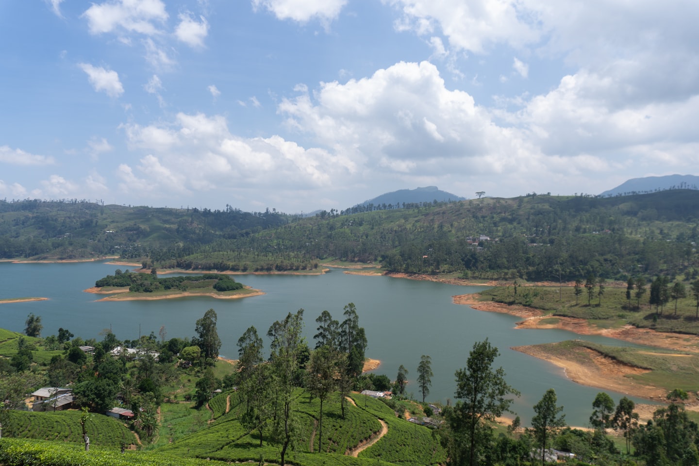 Tea plantations overlook a scenic lake surrounded by rolling hills.